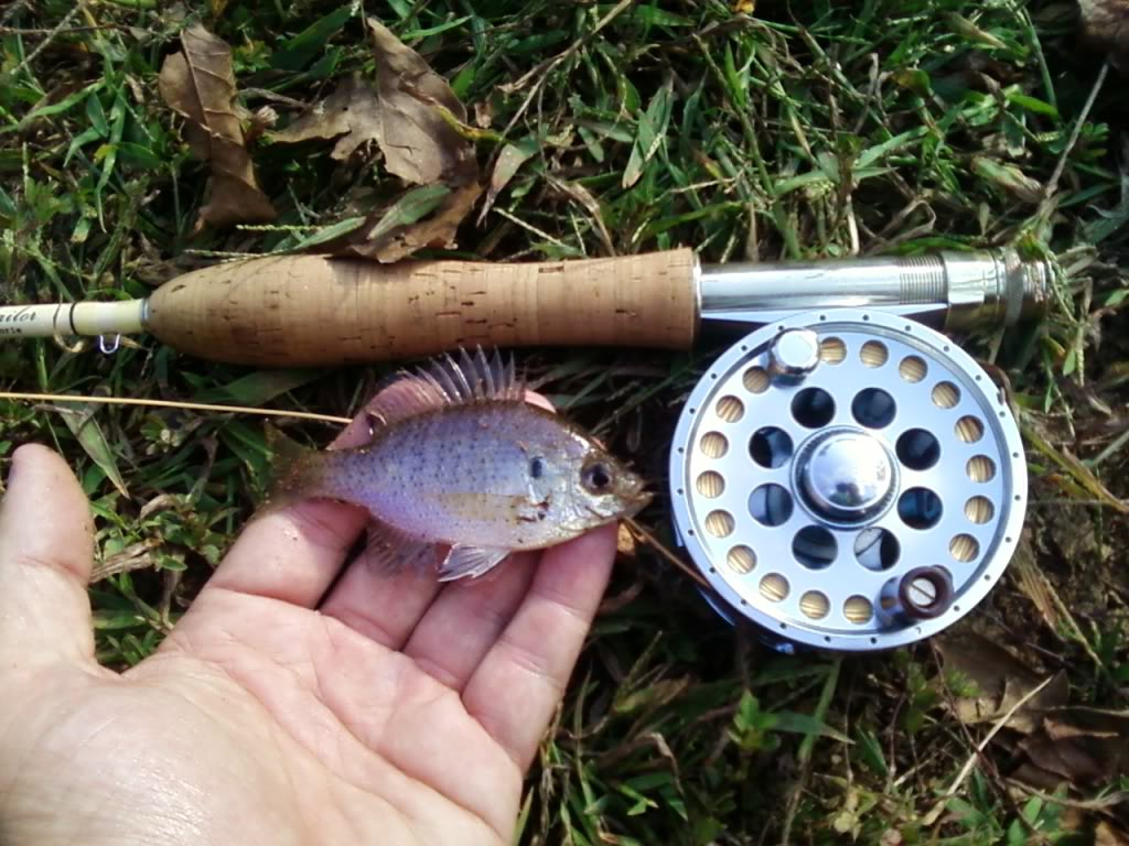 Ultralight Fly Fishing • What's the best piece of new gear you picked