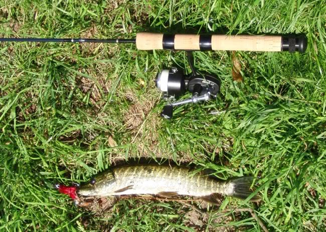 6.5 foot vs 7 foot rod? - Fishing Rods, Reels, Line, and Knots - Bass  Fishing Forums