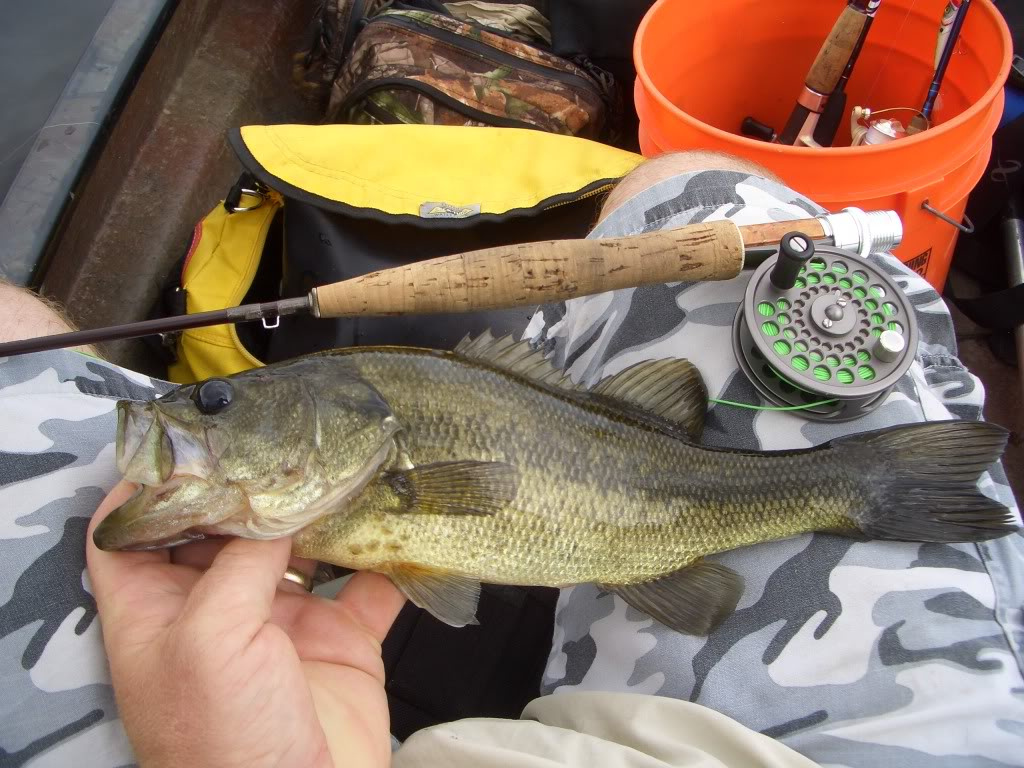 Ultralight Fly Fishing • Oklahoma Summer fishing