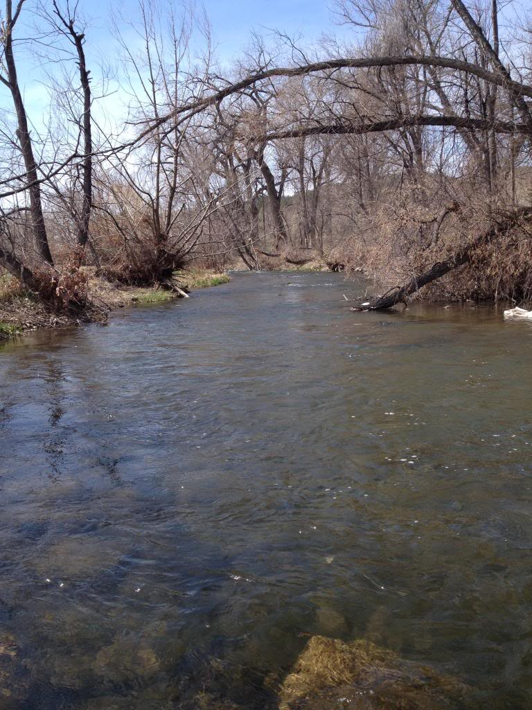 Ultralight Fly Fishing • Weekend in Rapid City, SD on Rapid Creek