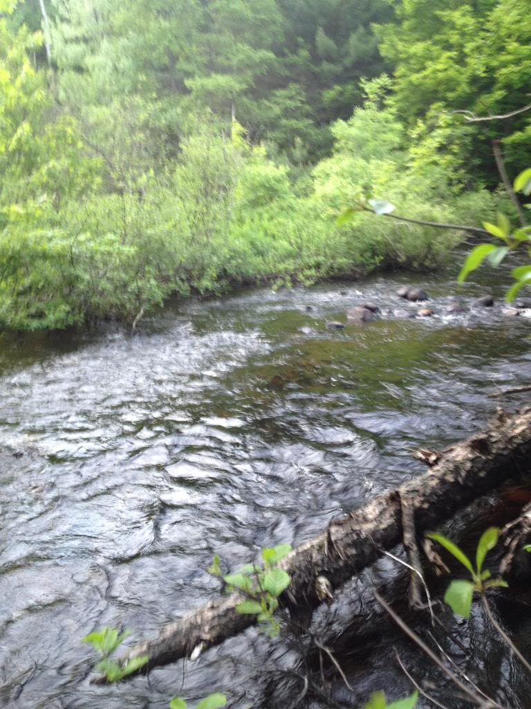 Ultralight Fly Fishing • Fish Creek Near Greig, NY
