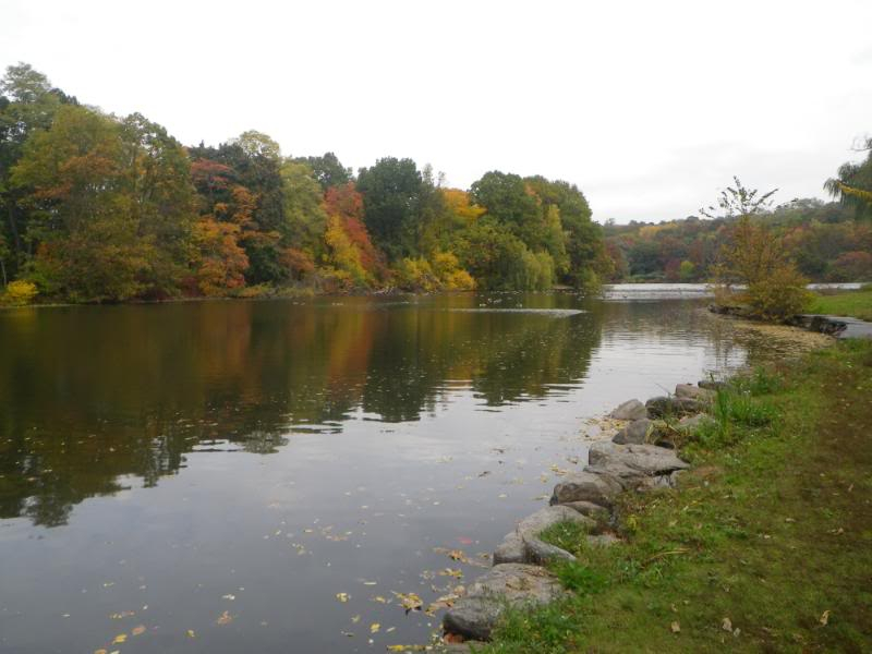Ultralight Fly Fishing • Van Cortland Lake