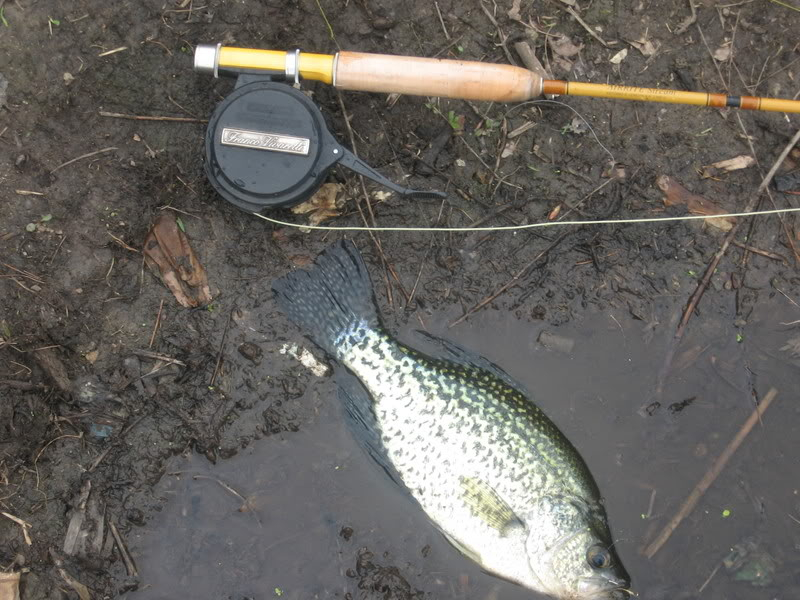 FRANCO VIVARELLI CARBON FIBRE SEMI-AUTOMATIC 3″ TROUT FLY REEL +