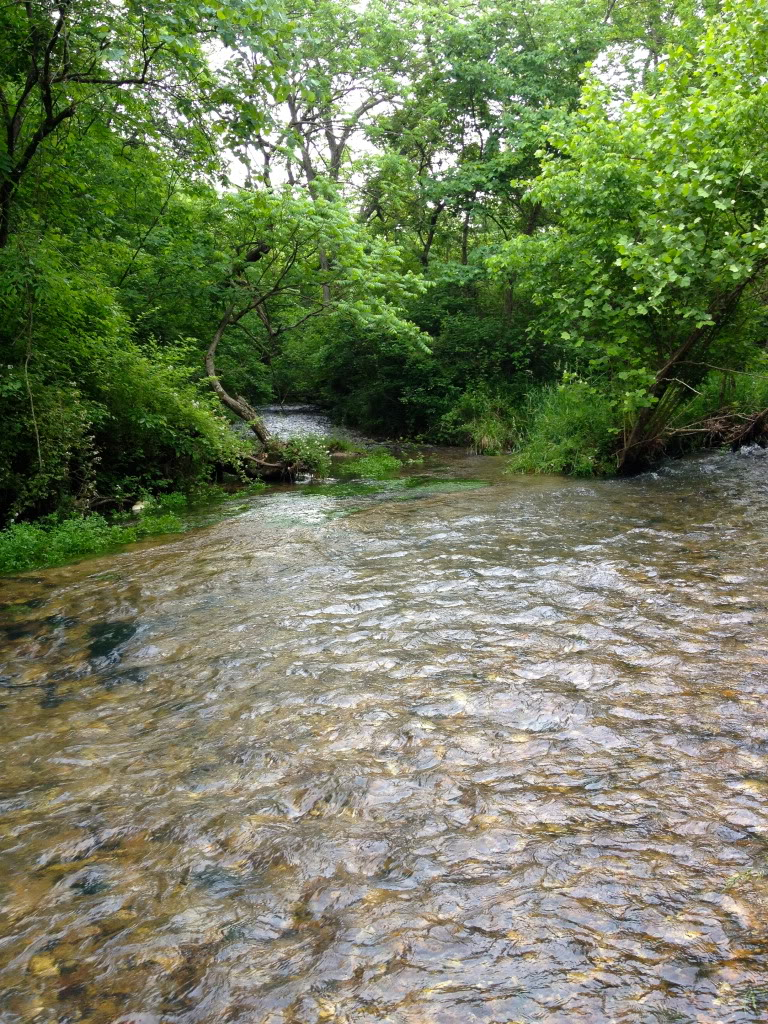 Ultralight Fly Fishing • Mill Creek - Treasure of the Ozarks