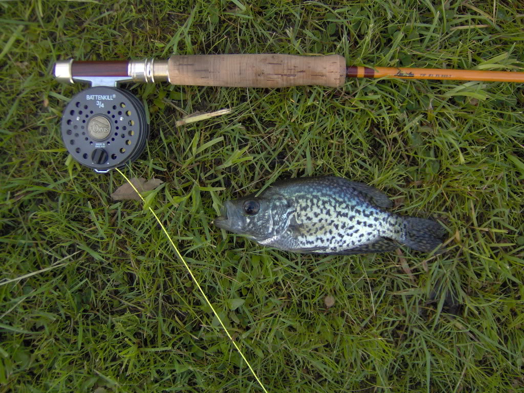 Ultralight Fly Fishing • Deer Creek, My home water.
