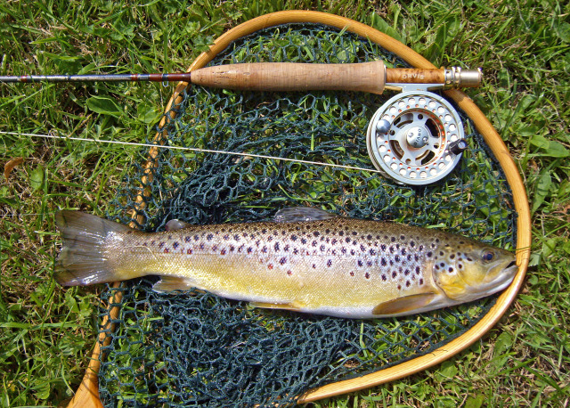 Ultralight Fly Fishing • River Test, Timsbury 5