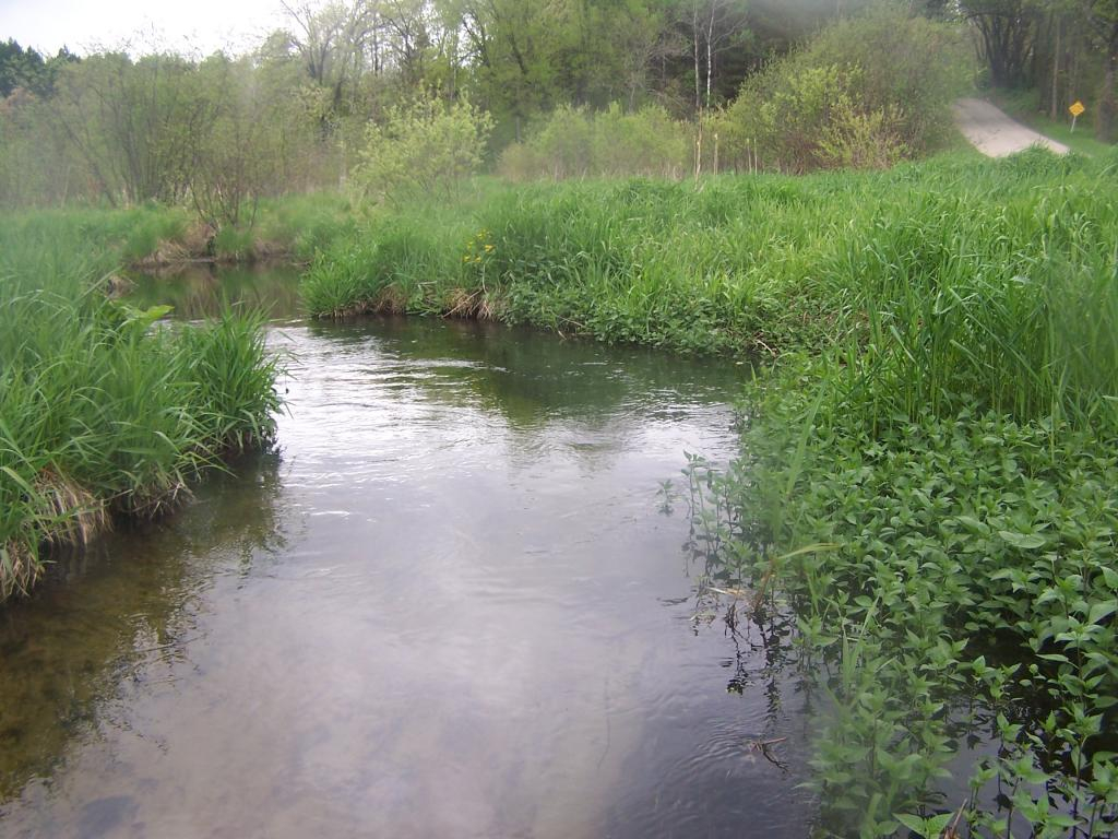 Ultralight Fly Fishing • A Day on a Central Wisconsin Trout Stream