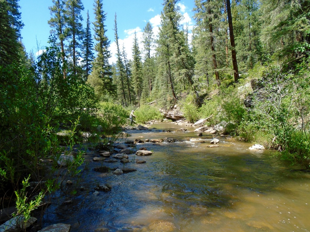 Ultralight Fly Fishing • Rio de las Vacas